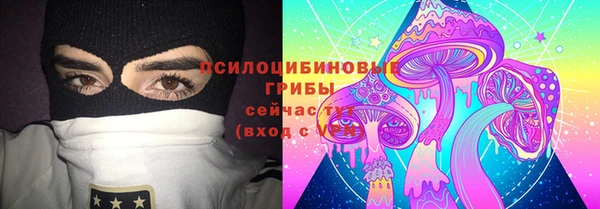 mdma Каменка