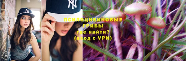 мескалин Каменногорск